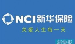 爆料新华保险视频大全,揭秘保险行业精彩瞬间