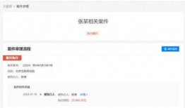 视频最新爆料大全下载,热点事件一网打尽